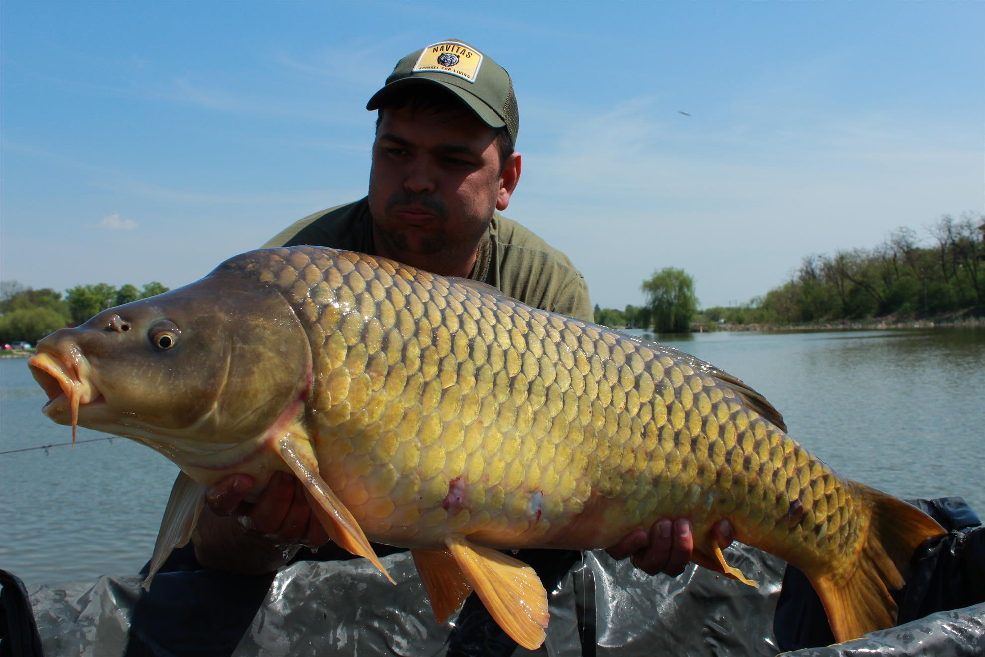 Hermes Peris 25 - 26 aprilie 2015 - img8518.JPG